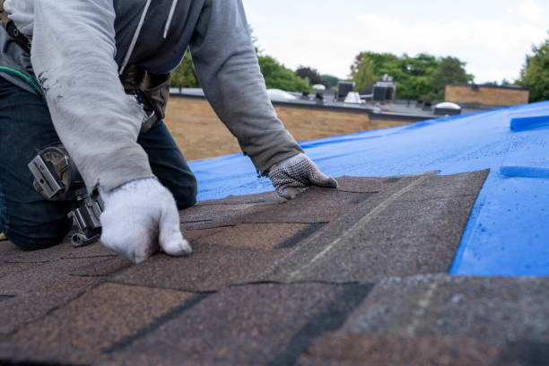 Best Roof Maintenance Services  in Dysart, IA