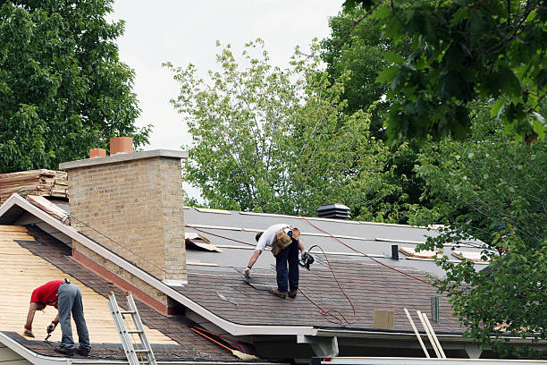 Roof Gutter Cleaning in Dysart, IA