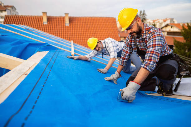 Best Roof Repair Services  in Dysart, IA