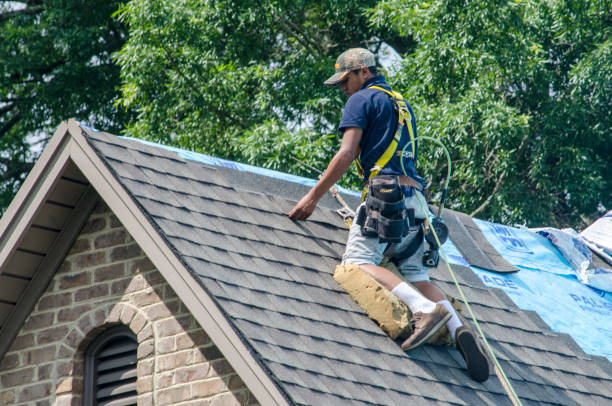 Best Roof Maintenance Services  in Dysart, IA